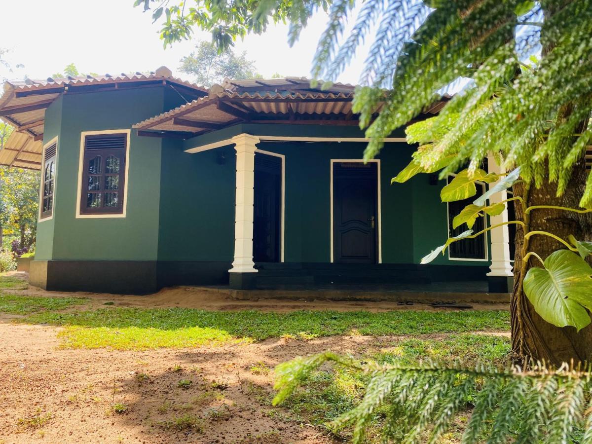 Sigiri Siesta Homestay Sigiriya Exterior photo